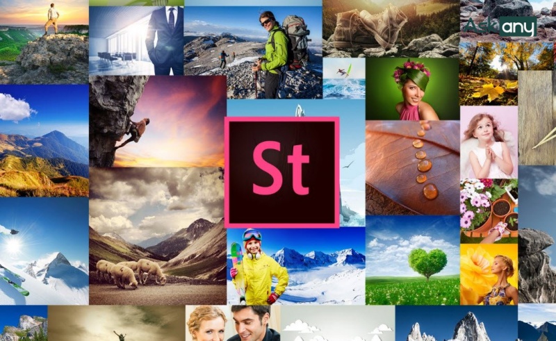 Adobe Stock là website do Adobe phát triển