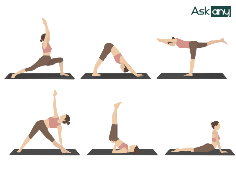 Các động tác Yoga cơ bản cho người mới bắt đầu