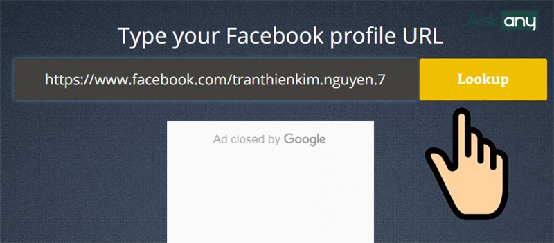 Dán liên kết Facebook rồi nhấn nút Lookup